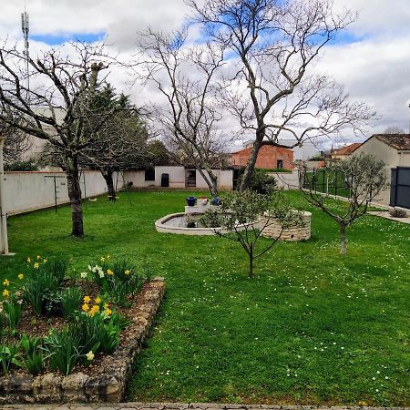 Maison Plain Pied Avec Jardin, Terrasse Et Veranda 干邑 外观 照片